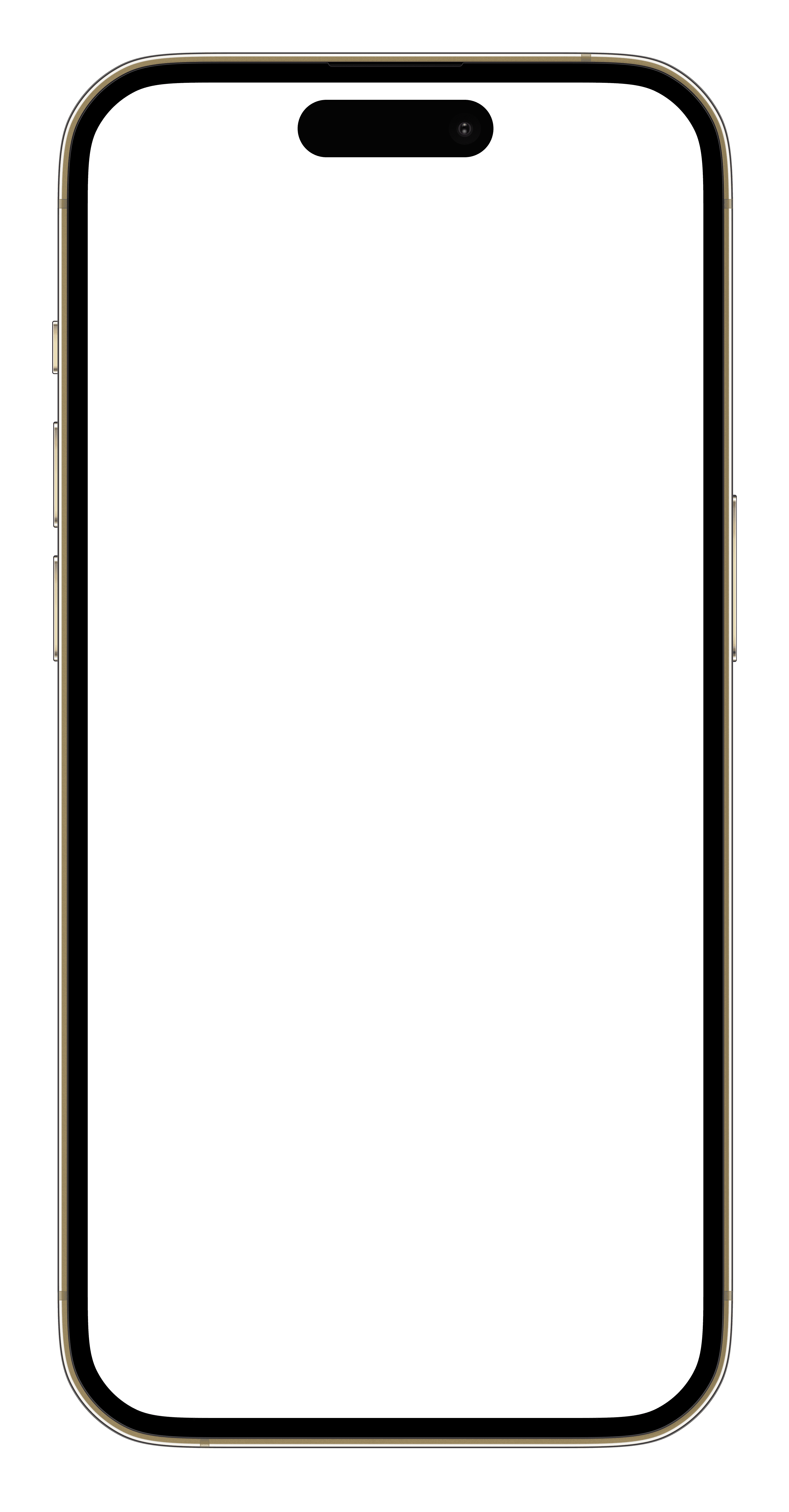 App Interface
